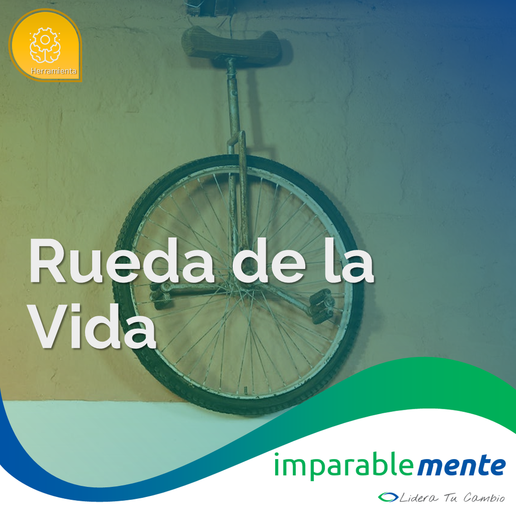Rueda de la vida
